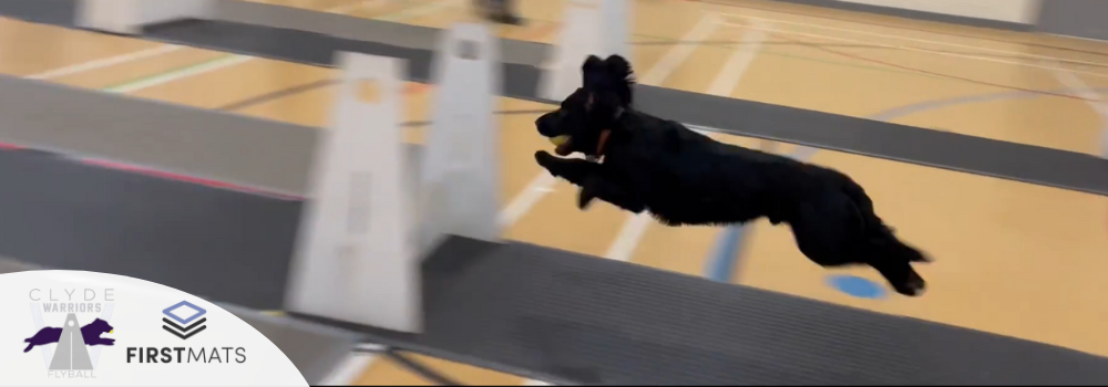 First Mats Supplies Flyball Matting to the Clyde Warriors Flyball Team