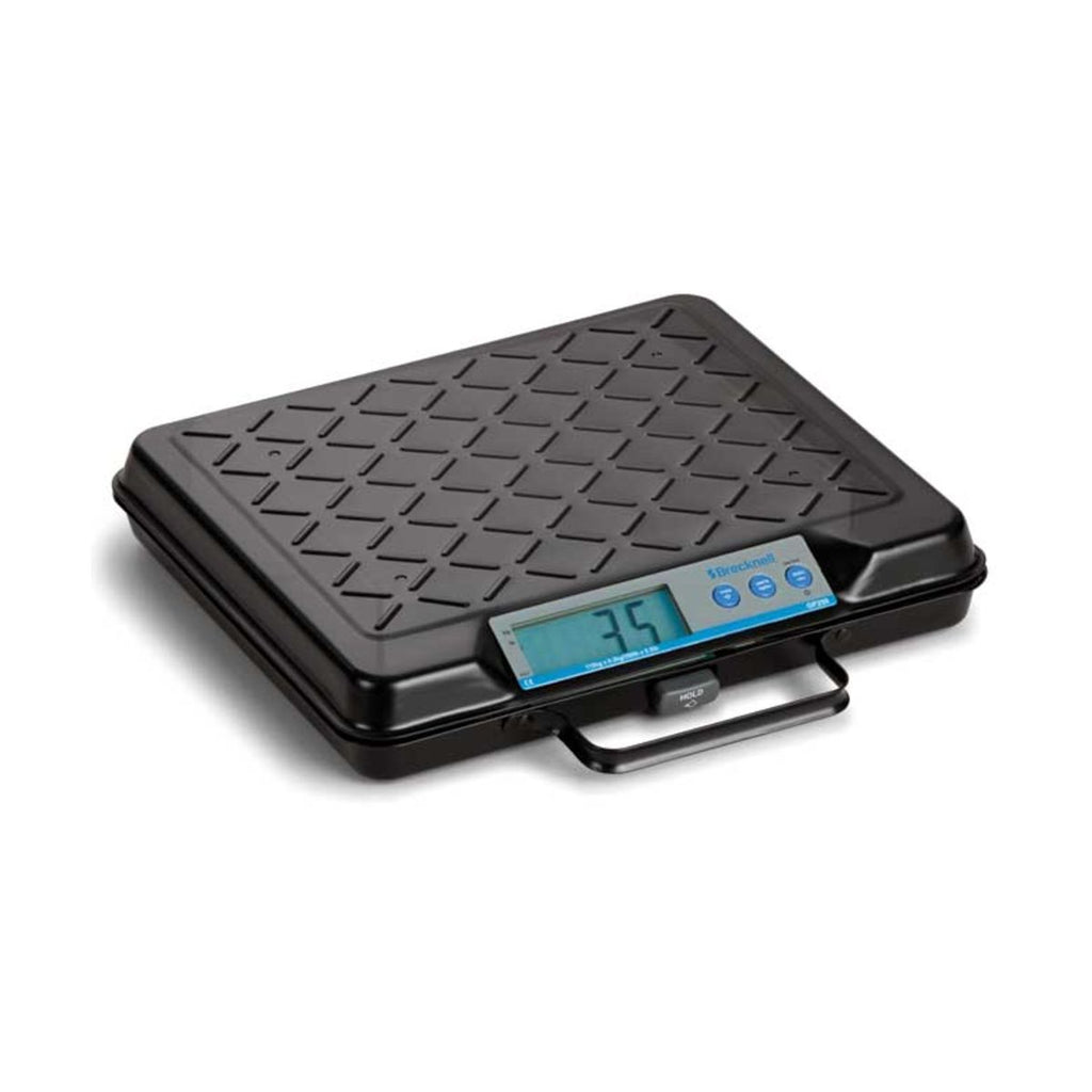 Salter Brecknell GP100 and GP250 Bench Scales (6245625659563)