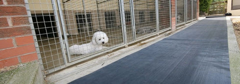 The Best Matting for Kennel Flooring
