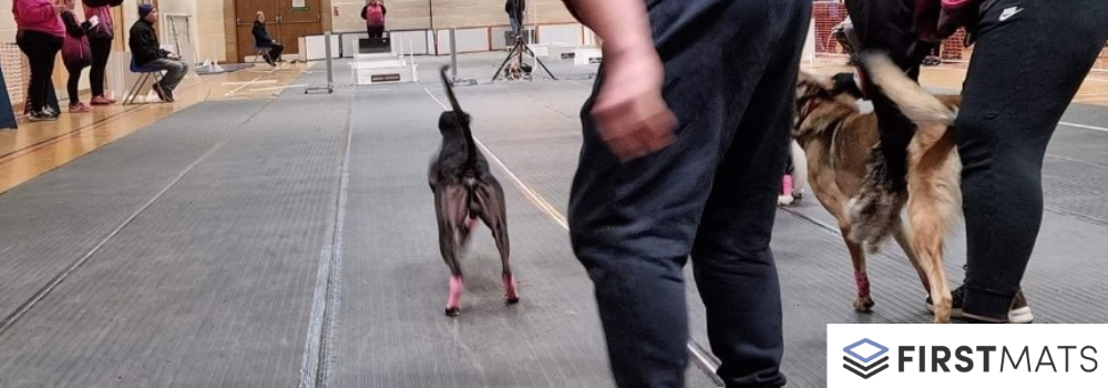 Flyball Competition Matting Case Study