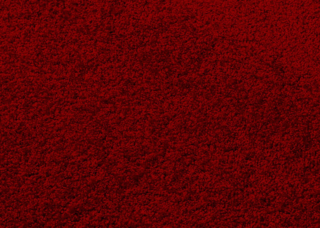 EntryPlus Large Entrance Mat