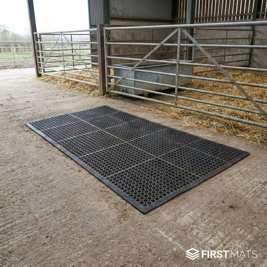 Farms and Agriculture