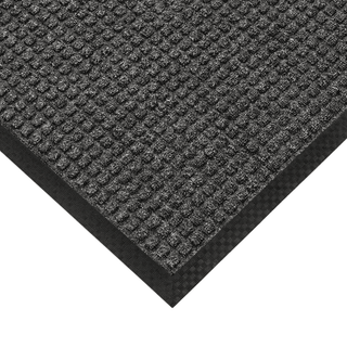Ultra-Absorbent School Entrance Mat