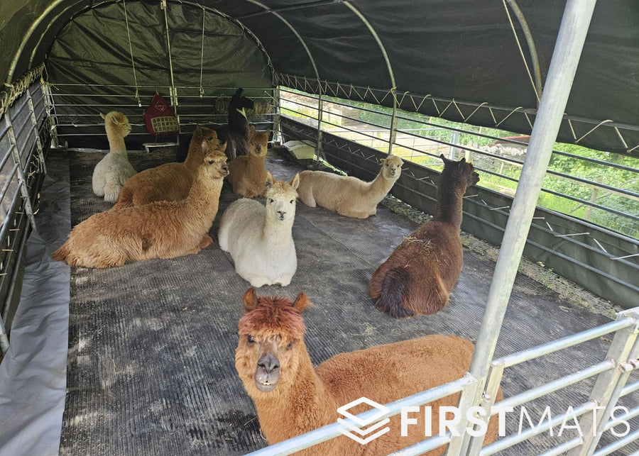 How to Choose the Right Agricultural Mat