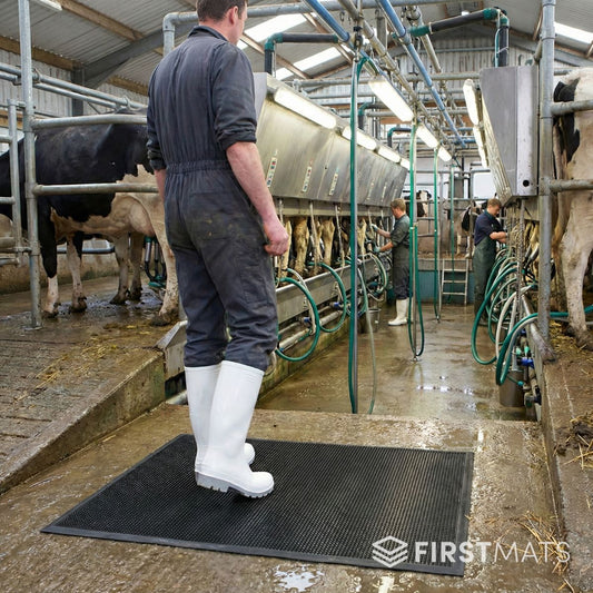 Person standing on a black disinfectant mat in a dairy farm setting with cows and equipment.