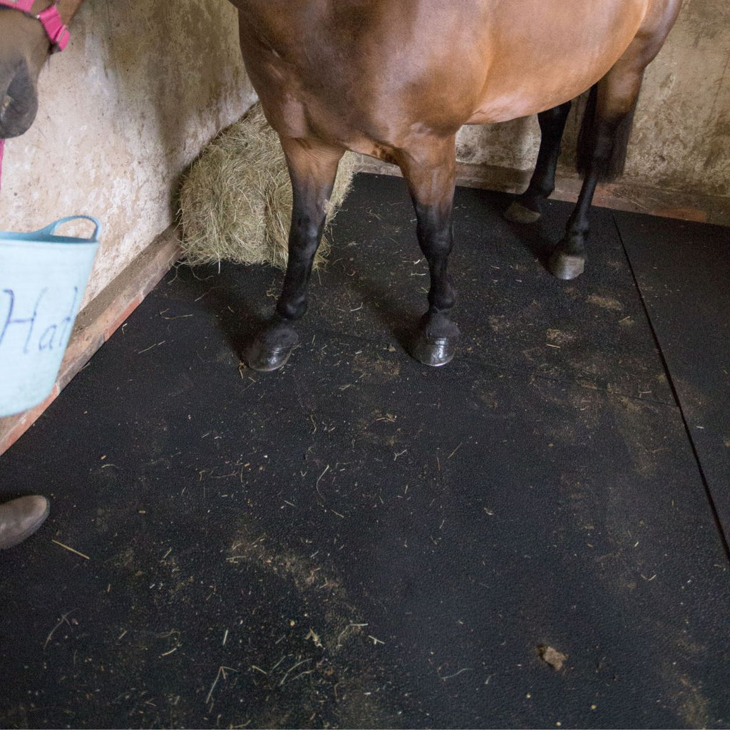 Horse standing on rubber stable mats