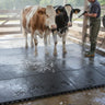 Solid top washdown area mats in use