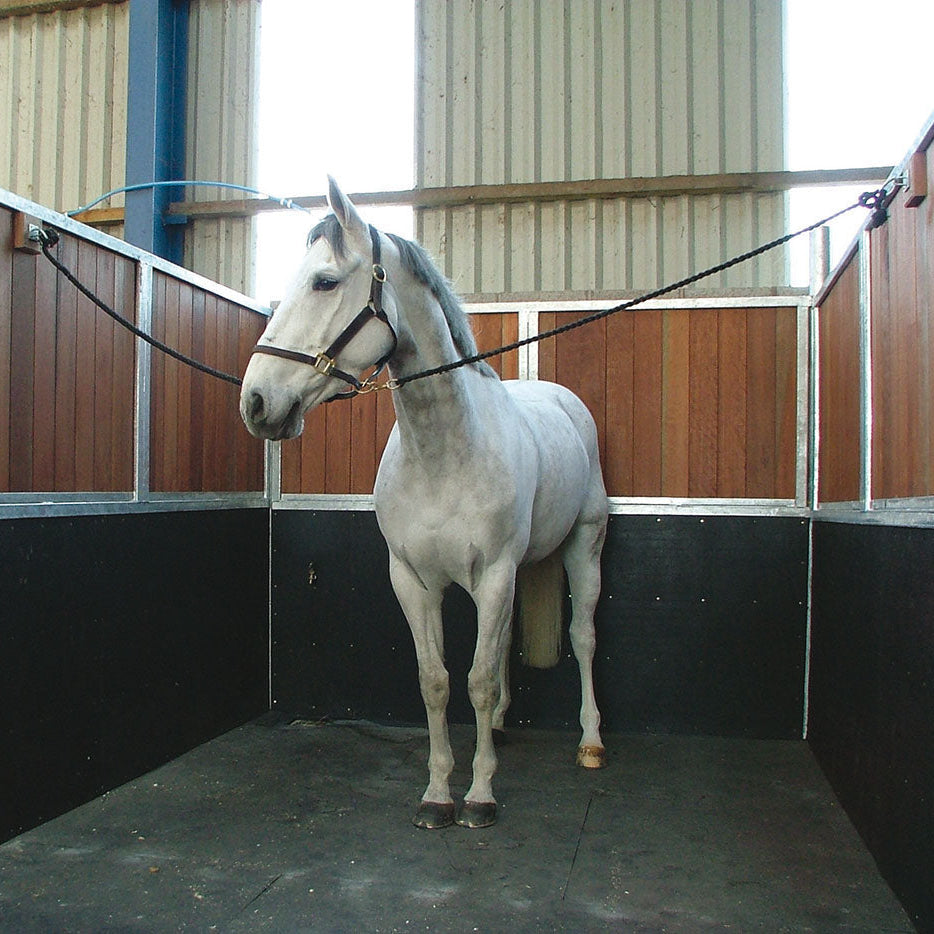 Horse standing on rubber stable mats