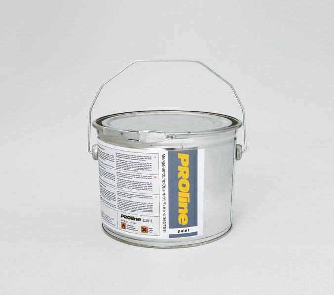 Proline Exterior Floor Paint (5 Litres) (4523912462371)