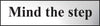 Mind The Step - Gold or Silver Office Door Sign silver (6046938595499)