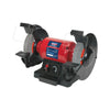 Variable Speed Bench Grinders - 200mm (5951335727275)