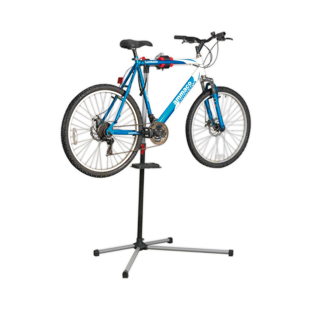 Basic Workshop Bicycle Stand with bike (4805703761955)
