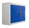 General Purpose Wall Mounted Metal Cabinet