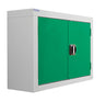 General Purpose Wall Mounted Metal Cabinet