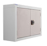 General Purpose Wall Mounted Metal Cabinet