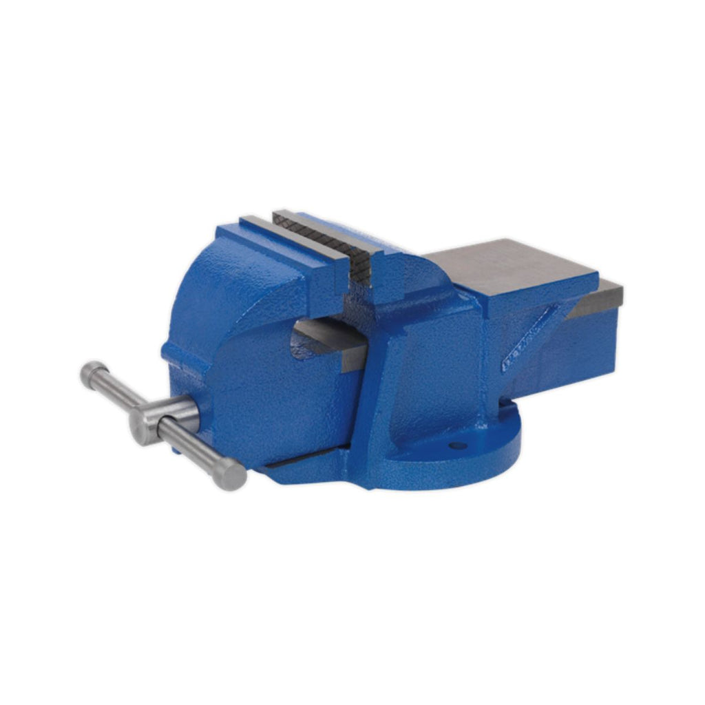 Fixed Base Professional Heavy-Duty Vices 100mm-200mm (5946844086443)