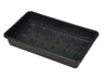 Standard Oil Drain Pan (4 Litre) 5 Pack (4614903922723)