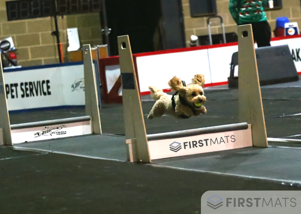 First Mats Flyball Competition Matting Rolls  18.3m / 60ft Long