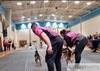 First Mats Flyball Competition Matting Rolls  18.3m / 60ft Long