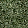 Green Coir Mat Swatch (1423619424373)