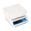 Salter Brecknell 405 Industrial Bench Scales (6245625725099)