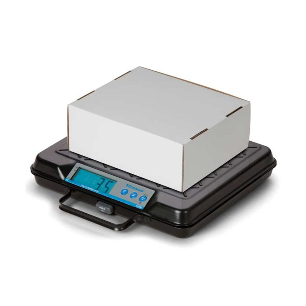 Salter Brecknell GP100 and GP250 Bench Scales (6245625659563)